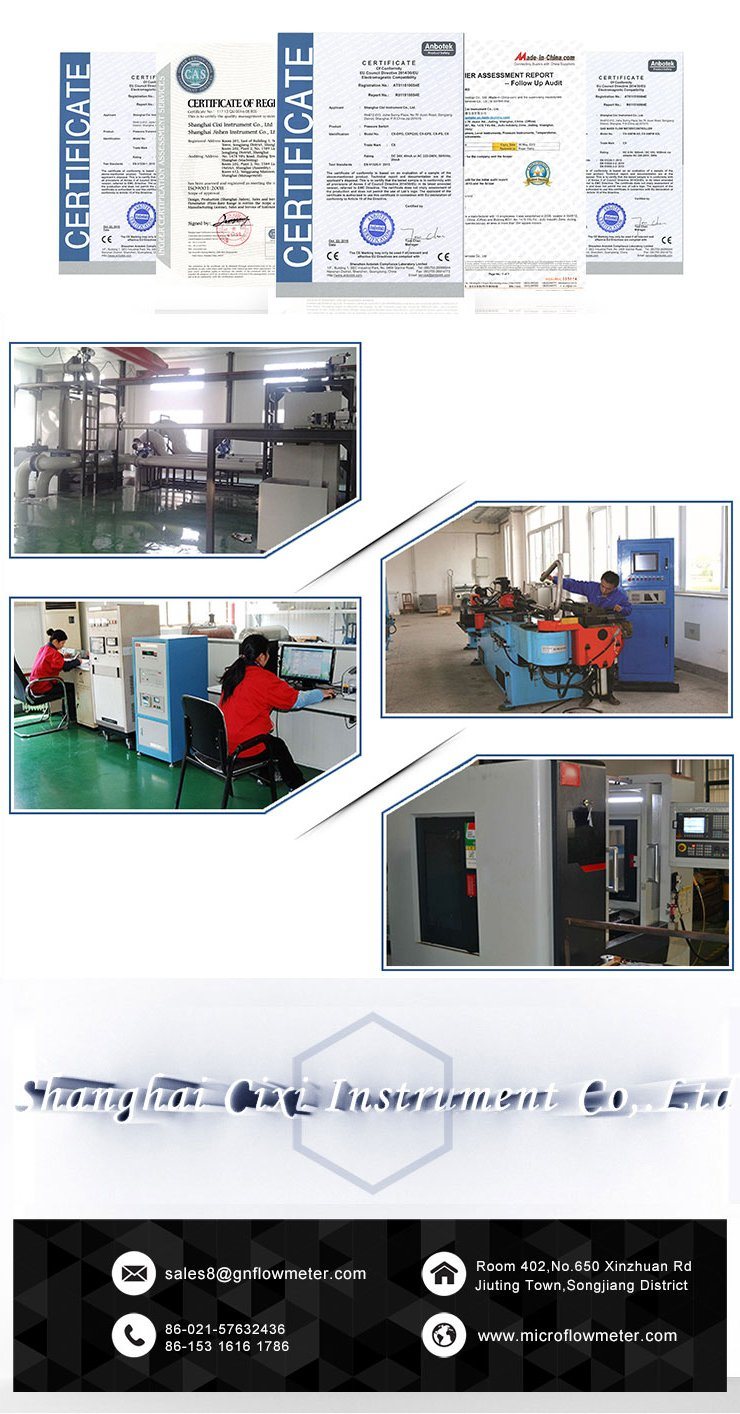 Local Mechanical Display and Pulse Output Rotary Piston Fuel Oil Flow Meter
