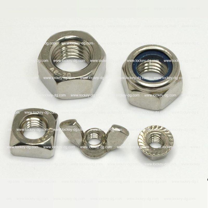 Stainless Steel Hex Nut Square Nut Flange Nut Nylon Lock Nut