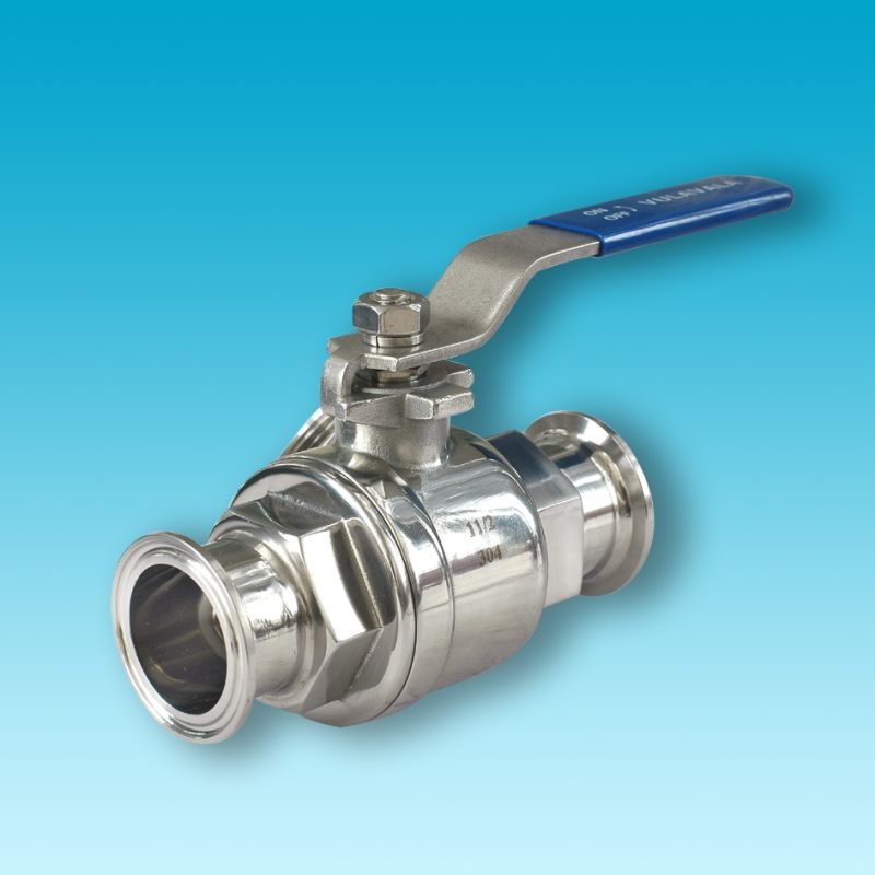 Stainless Steel 316 800wog Y-Spring Check Valves