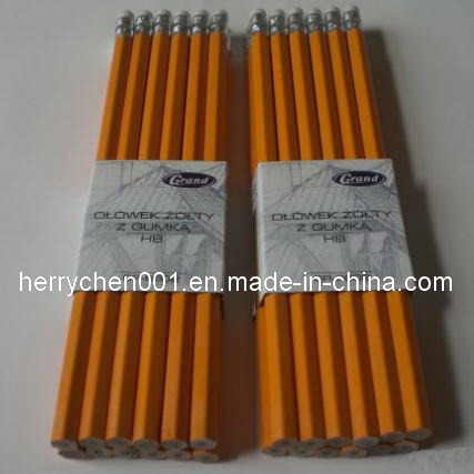 7 Inch Wooden Hb Pencil with Eraser Tip (SKY-012B)