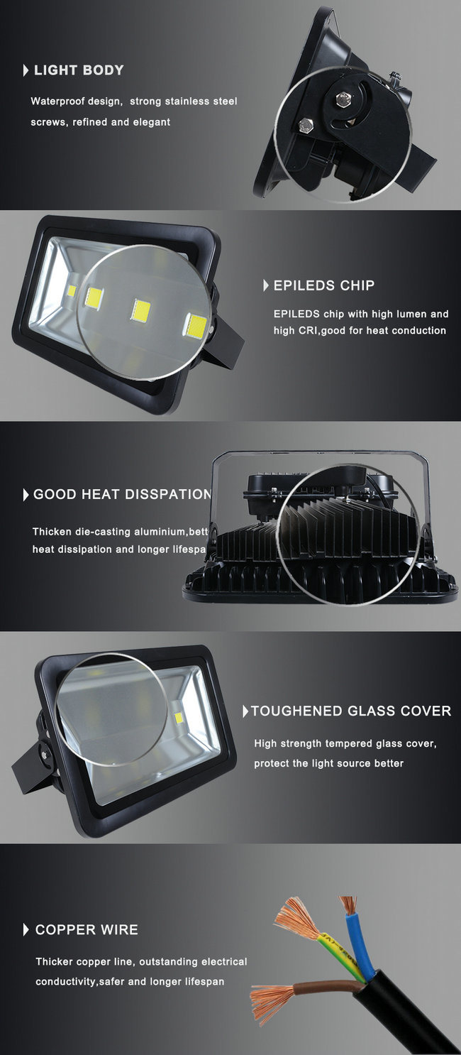 200W LED Flood Light for Outdoor with CE LED Floodlight