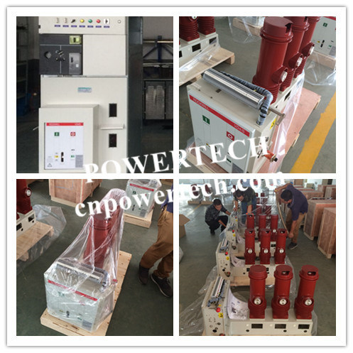 12/17/24kv Indoor Vacuum Circuit Breaker Vd4/R