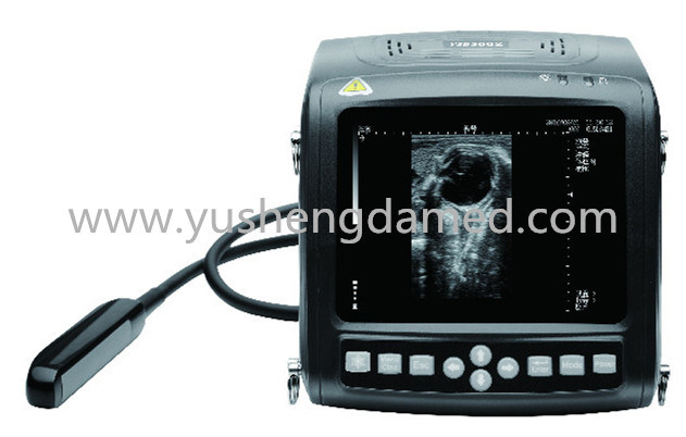 Ysd3002 Vet Ce Medical Equipment Veterinary Wristscan Ultrasound Scanner