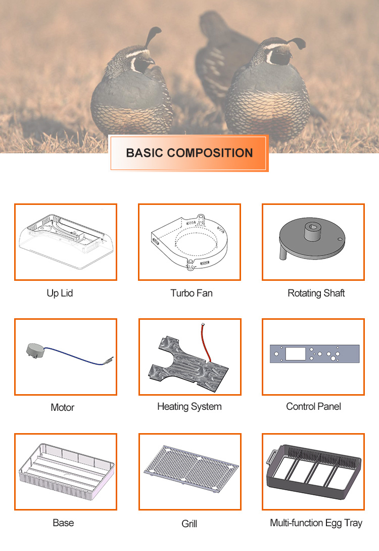 Hhd 2018 New Arrivals Automatic 12 Chicken Egg Incubator for Sale Yz9-12