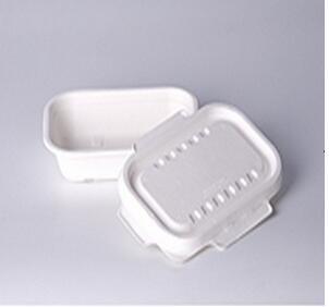 Biodegradable Sugarcane Bagasse Paper Tableware with High Quality