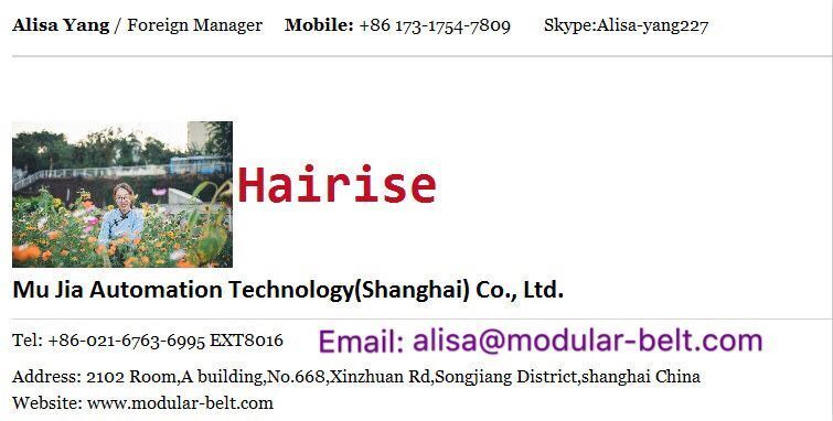 Hairise Scale Chute Motorized Material Handling Skid Conveyors