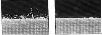 Textile Acid Cellulase for Cotton Fabric Jeans Washing