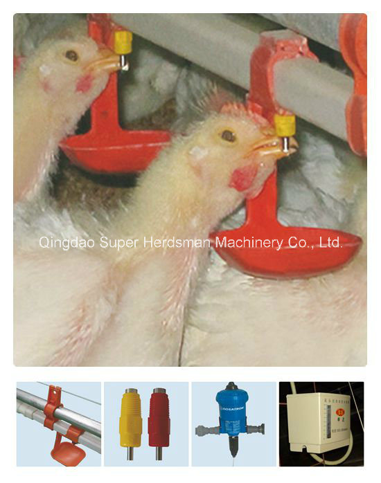 Automatic Poultry Control Shed Equipment for Broiler