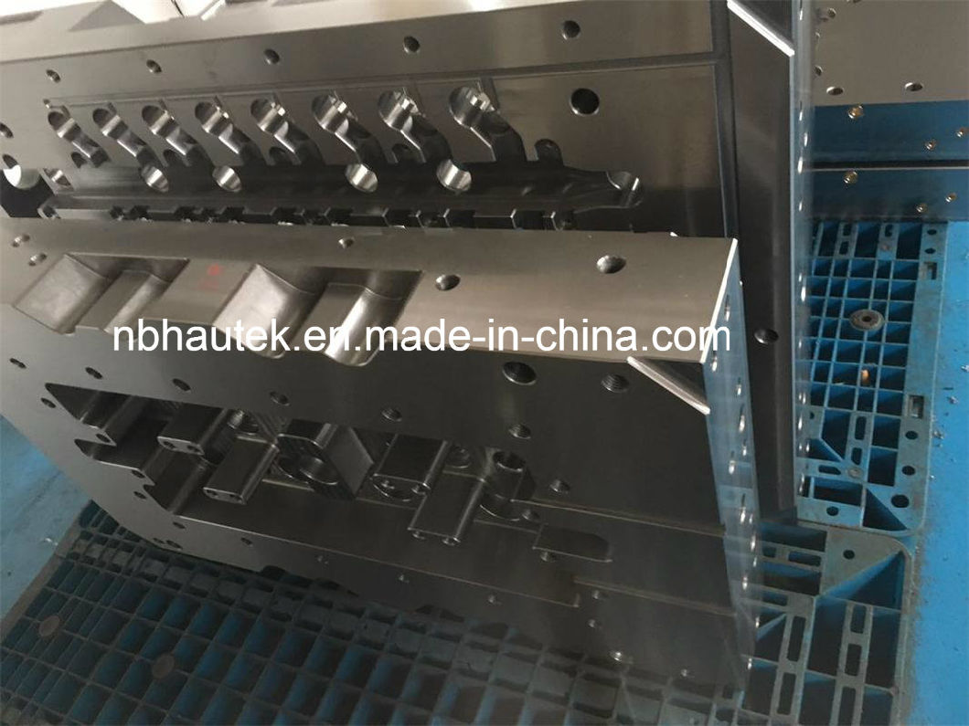 Pet Preform Injection Mold