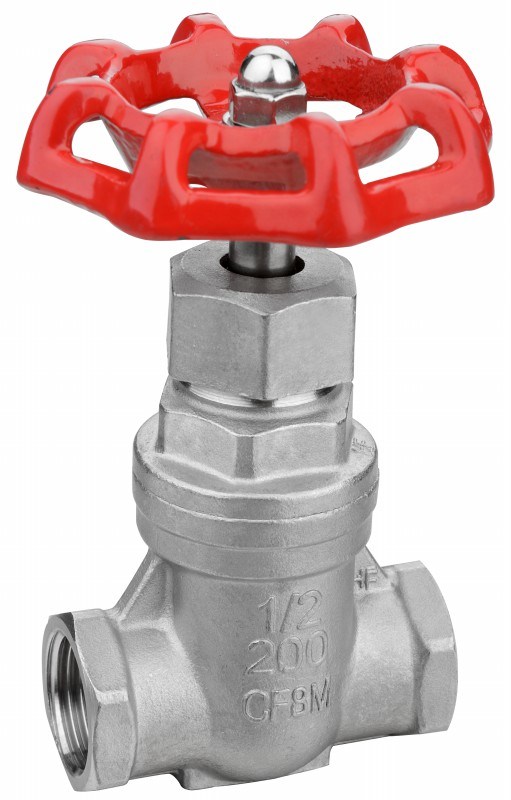 Stainless Steel Female Threaded Gate Valve with Ce Certificate