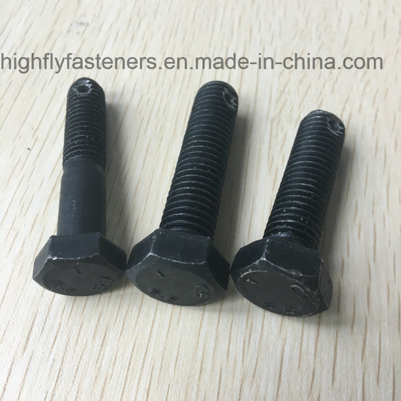 Hex Bolt, Eye Bolt, Stud Bolt, Chemical Stud, U Bolt, Stainless Steel Bolt