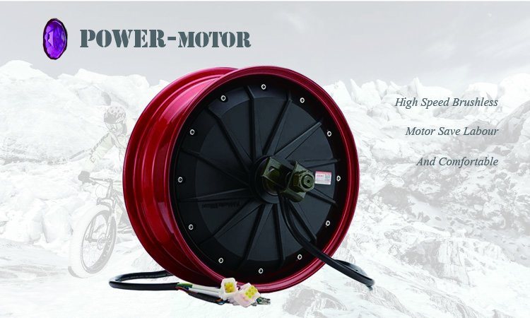 Fantas 36V250W Fat Tyre Snow Ebike with Ce