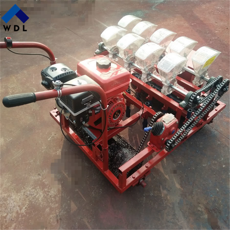 for Small Seed Vegetable Seeding Plant Machine