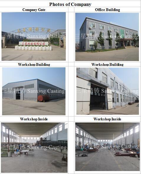 CNC Stainless Steel Vehicle /Tractor Casting Parts (Machinery Part)
