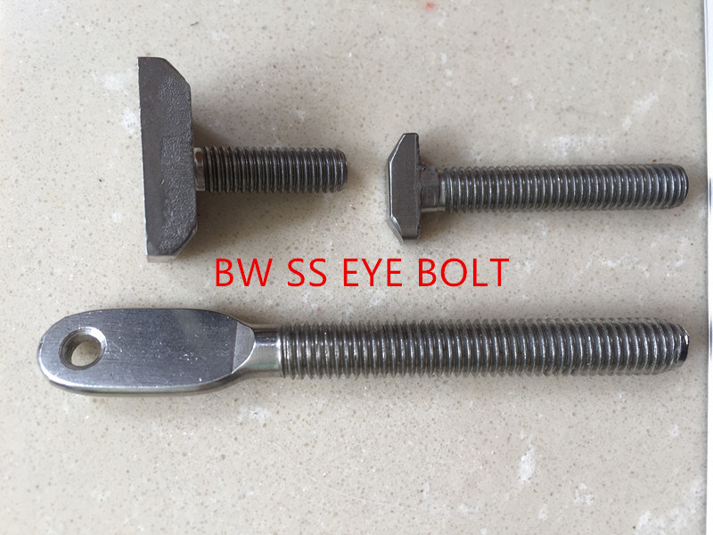 Stainless Steel Special Head Bolt