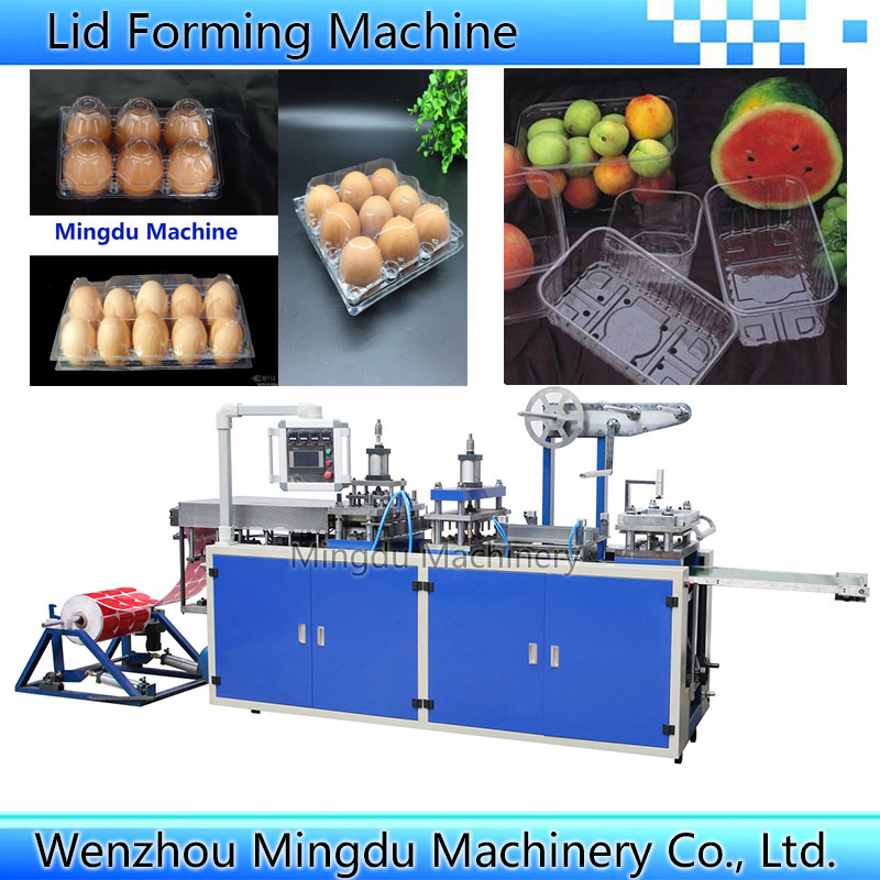 Plastic Flat Lid Tray Box Case Automatic Thermoforming Machine