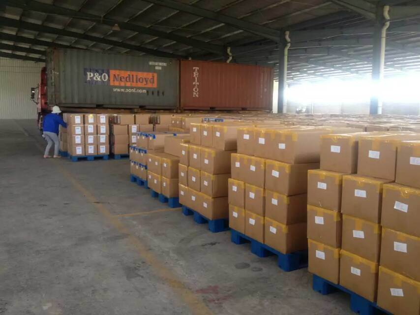 Shandong Factory Dehydrated Garlic Powder