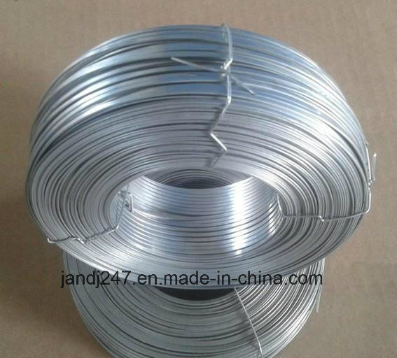 1kg/Roll Packing Galvanized Wire for Brazil Market