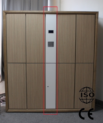 Self-Set Pin Metal Storage Locker