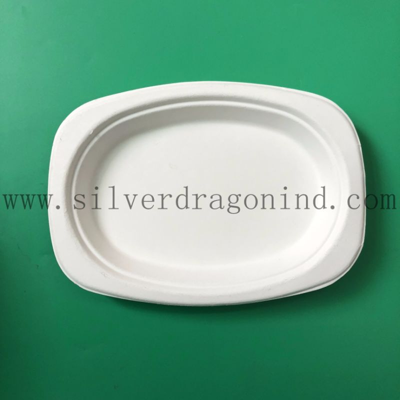 Custom Size Compostable Sugarcane Pulp Paper Disposable Bowl