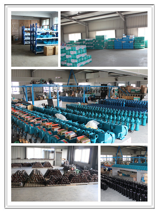 Small Submersible Pump, Clean Water Pump, Cometitive Pump with Float Switch