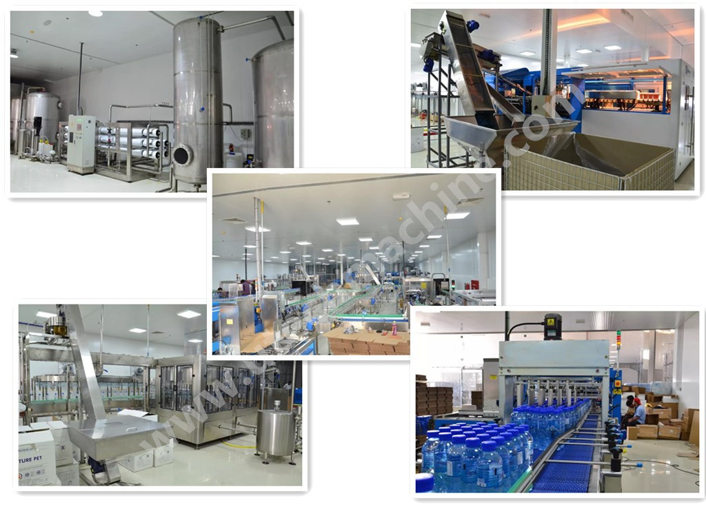 Automatic Pet Bottle Mineral Water Bottling Machine /Filling Packaging Line