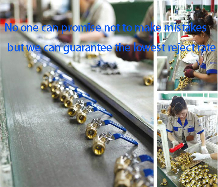 Brass CNC Machining Swivel Thread Pipe Male Female Fittings