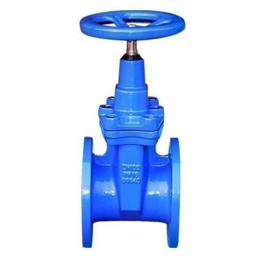 DIN3352 Standard Flanged Joint Ends Resilient Wedge Gate Valve