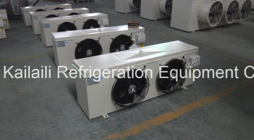 China Hot Sale! ! ! Dd-30 Air Cooled Evaporator with Ce for Cold Room/Refrigeration Equipment