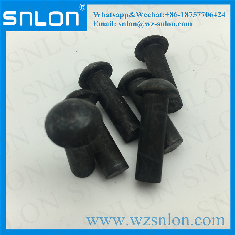 High Quality Solid Rivet for Auto Part