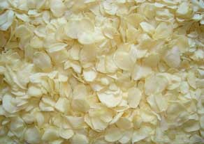 Chinese Nutritious Dehydrated Garlic Flake