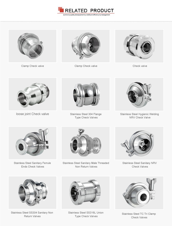 Dn65 Stainless Steel SS304 SS316L Sanitary One-Way Check Valves