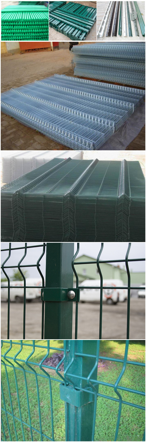China Exporting PVC Coated 3D Wire Mesh Fencing
