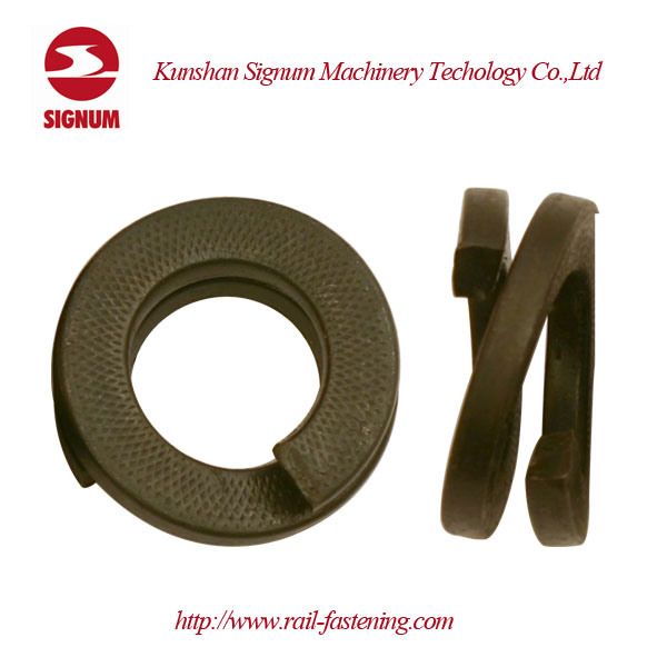 Rail Double Coil Spring Washer