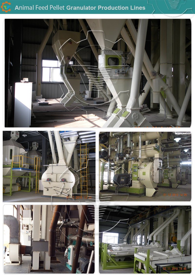 Livestock Feed Pellet Granulator Machine Pelletizer for Sale