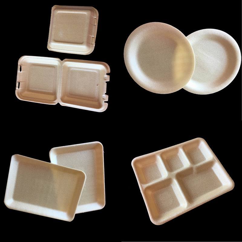 Vacuum Compostable Eco Friendly 3 Compartment Food Container