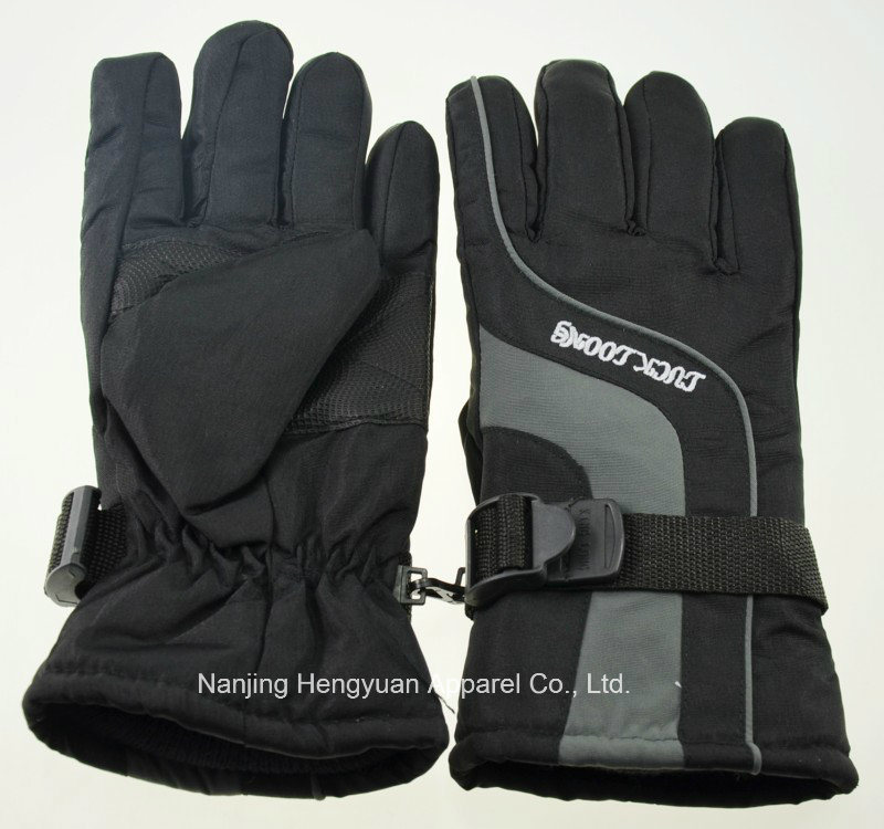 Fashion Skiing Motorcycle Gloves for Adults (HY17082502)