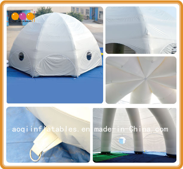 Giant Dome Tent for Outdoor Activities (AQ5235-13)