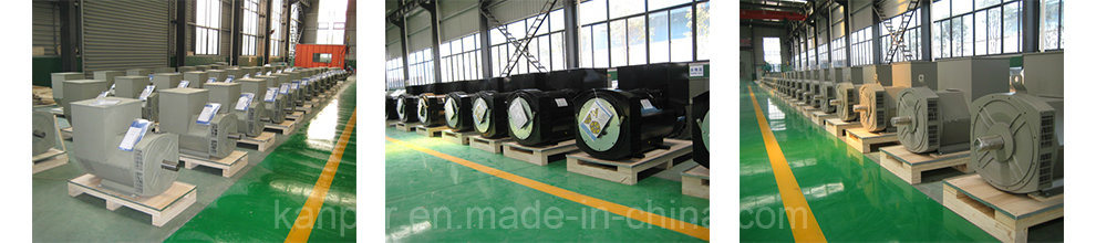 250kVA/200kw Three Phase AC Alternator (STF274K) /Ce Approved