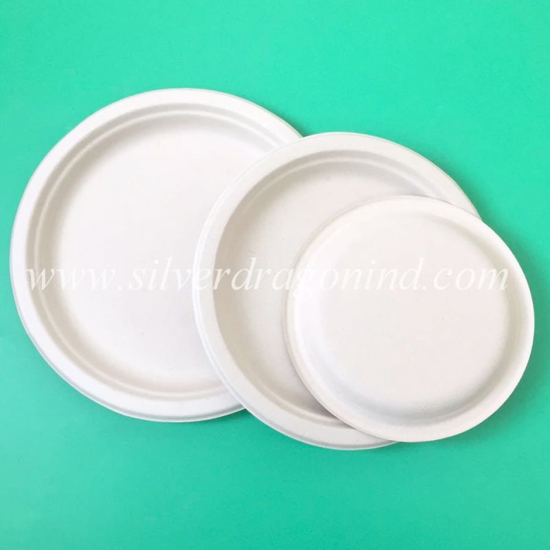 Disposable Compostable Square Paper Plate