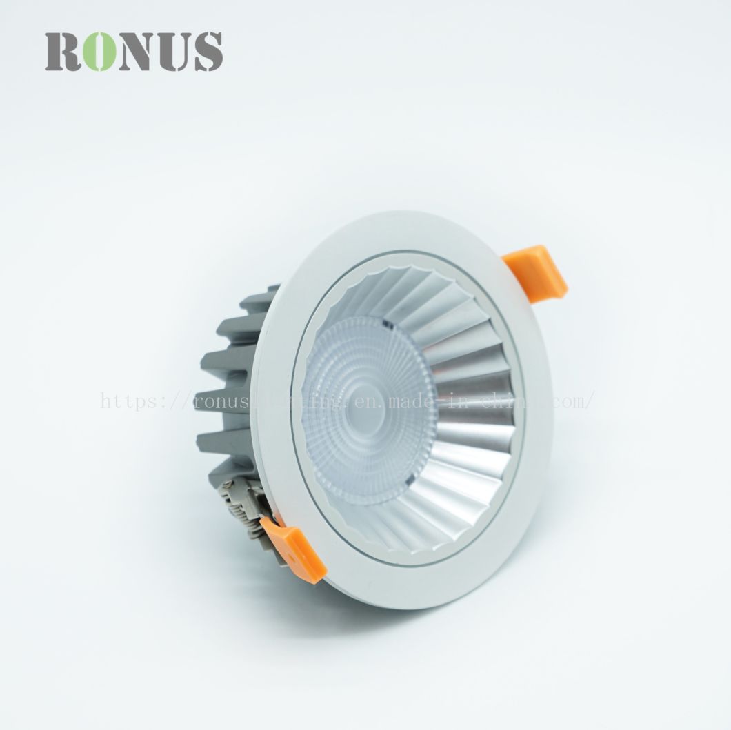 House Widely Used LED COB Down Light Lamp Ceiling Indoor Lighting Downlight