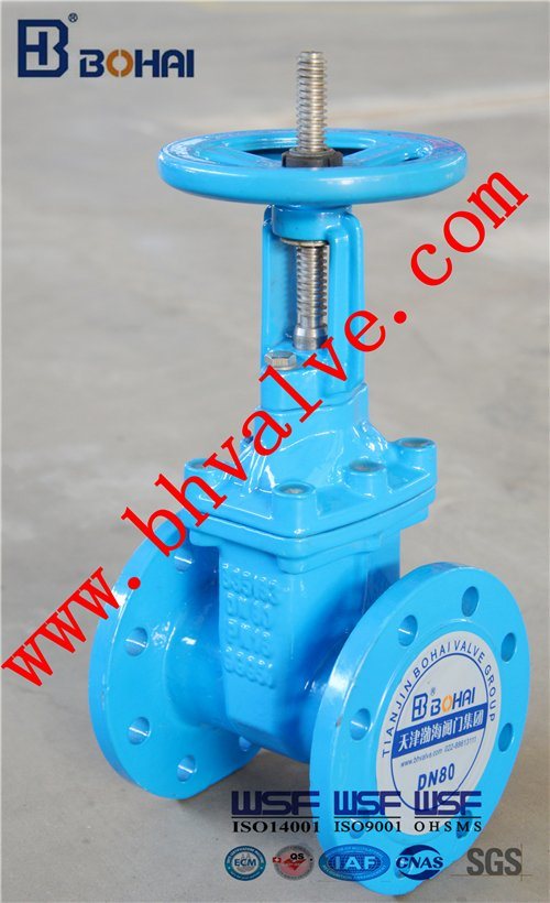 Non-Rising Resilient Seat Gate Valve for Water Transfer