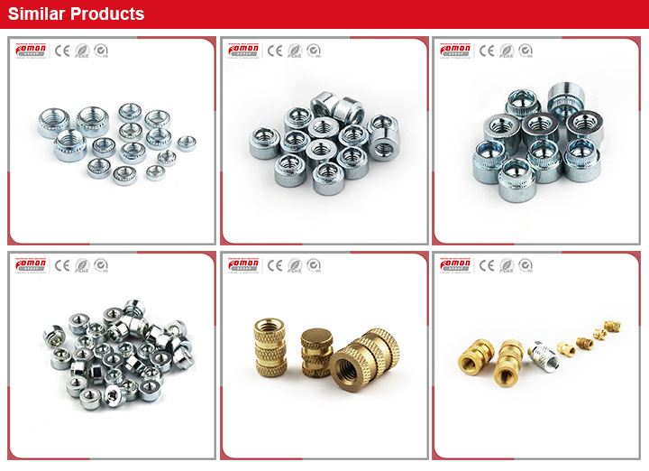 Common Round Screw Nut Flange Bolt Hardware for Building