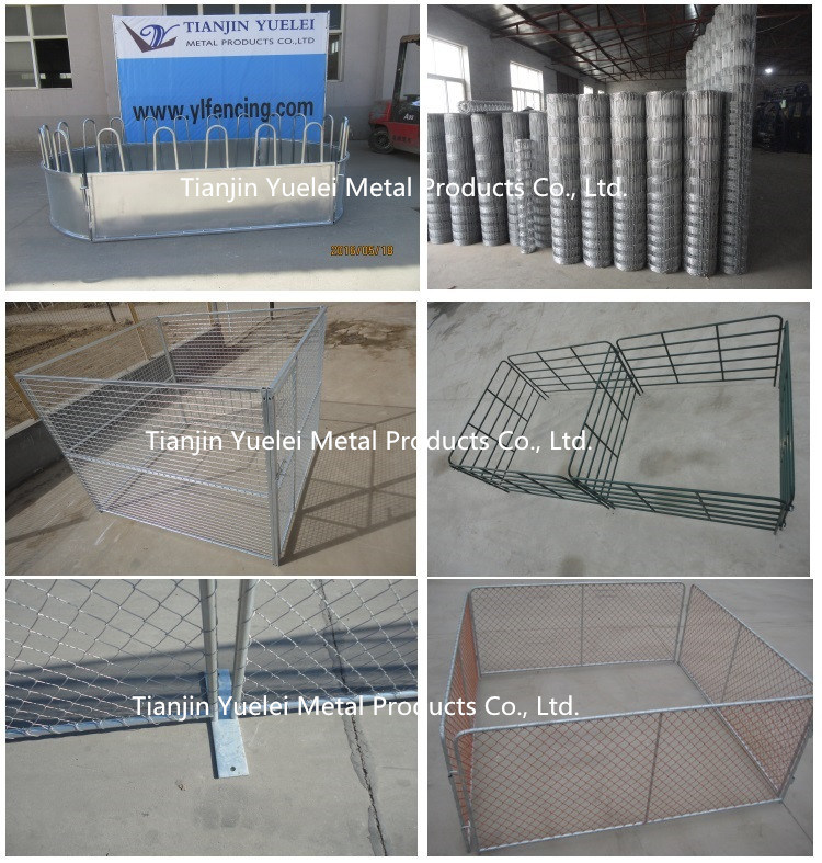 China Factory Supplied Fence Panels/Oval Pipe Galvanized Cattle Panel/6 Bars Steel Cattle Corral Panels/Hot Dipped Galvanized Cattle Livetsock Panels