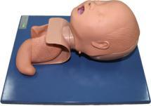 Xy-J-001 Neonate Trachea Intubation Training Model