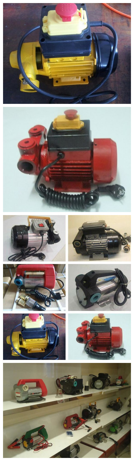 AC 220V Mini Diesel Electronic Fuel Transfer Pump