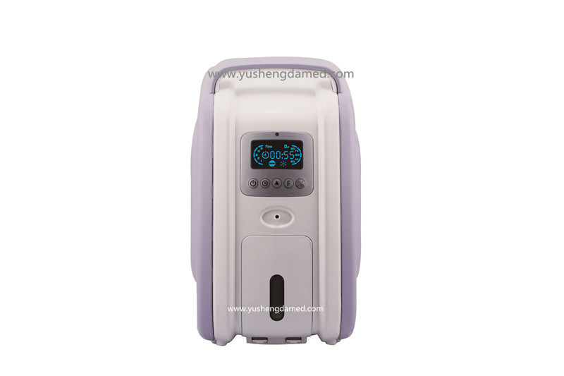 Hot Sale Medical Equipment Portable Small Oxygen Concentrator Vg-2