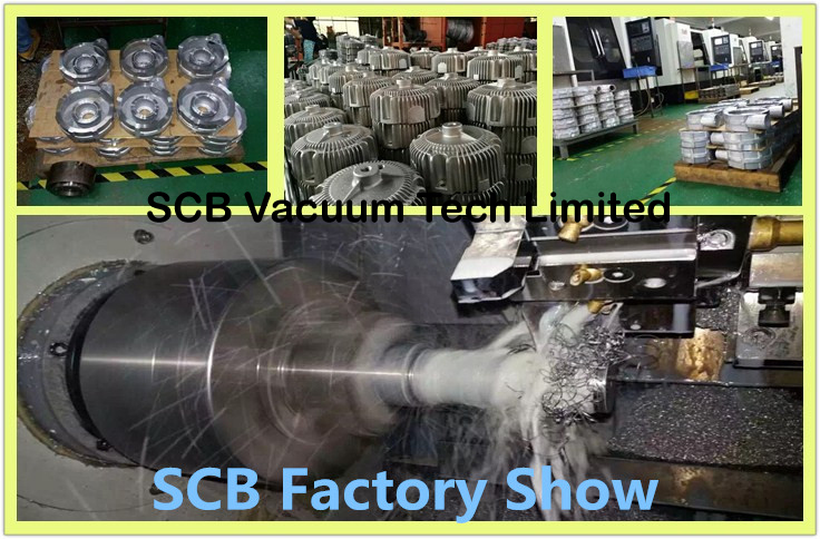 Scb 50 & 60Hz Regenerative Vacuum Pump (Belt-Driven Blower)