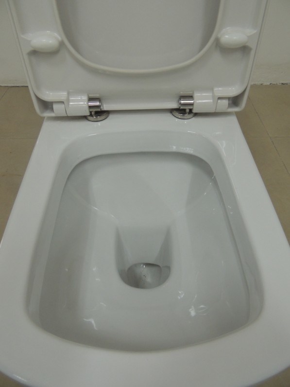 China Bathroom Washdown Two Piece Back Inlet Toilet Sanitary Ware (3887)