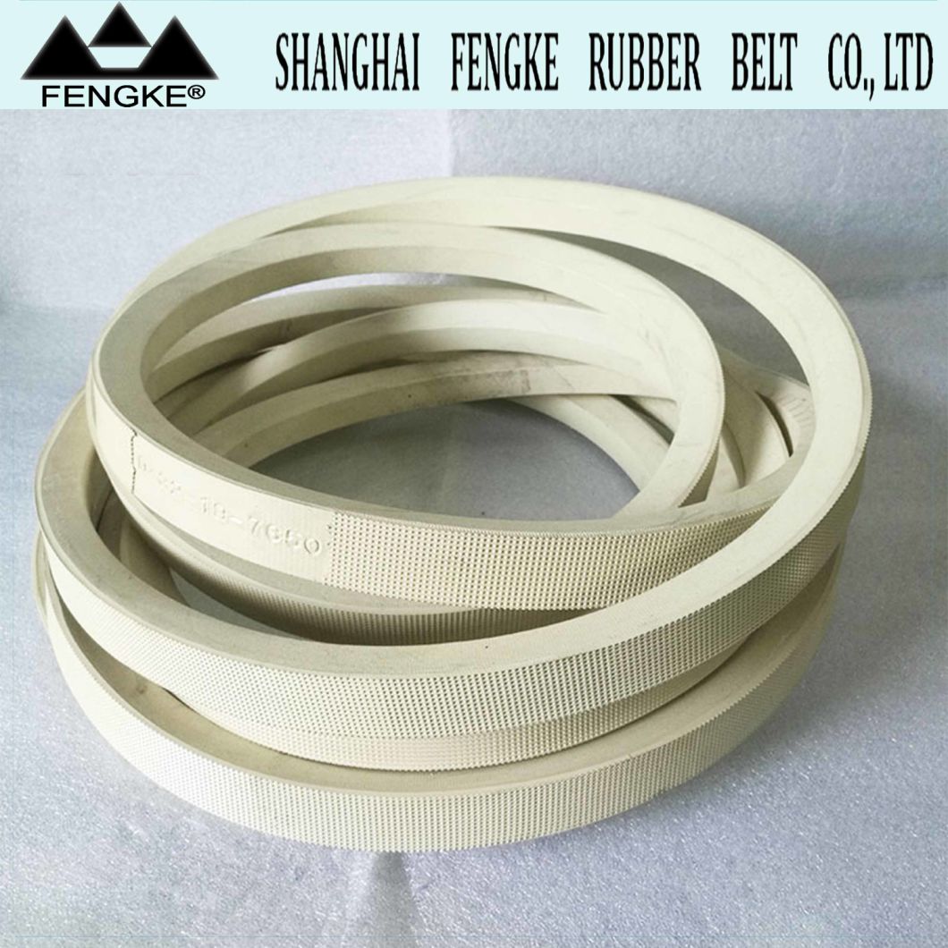 High Quality White Rubber V Belts 32X19X7650 for Wood Industry